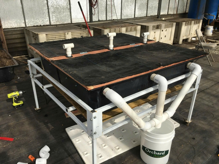 Mô Hình Nuôi Ruồi Lính Đen – Giải Pháp Xanh Chuyển Hóa Rác Hữu Cơ Thành Nguồn Đạm Quý Giá