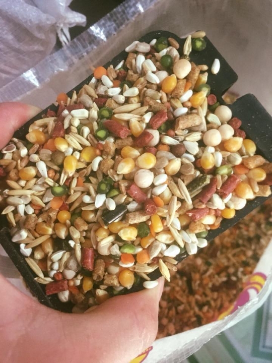 Thức Ăn Vật Nuôi – Yếu Tố Quan Trọng Trong Chăn Nuôi Hiệu Quả