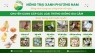 Trứng giống gia cầm - Giải pháp cho nông hộ vùng xa chưa có đêì kiện vận chuyển con giống