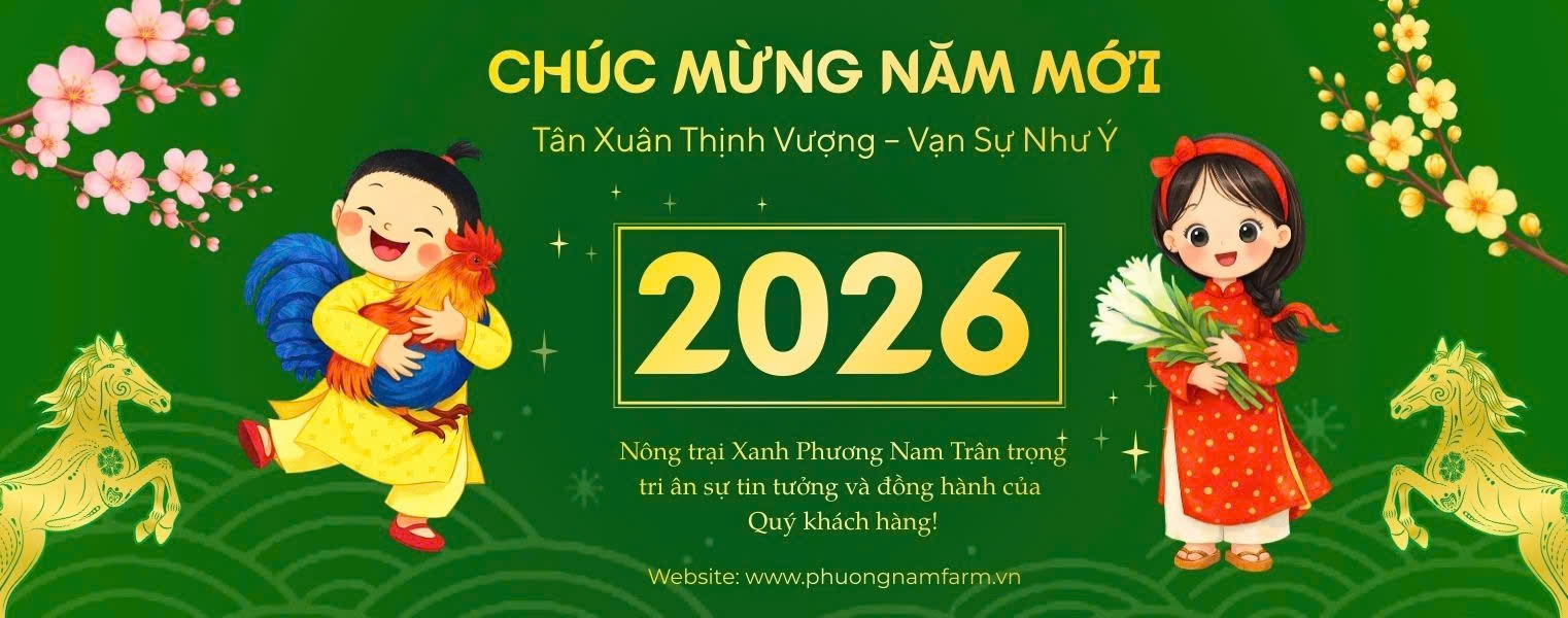 Chúc Mừng Năm Mới 2026