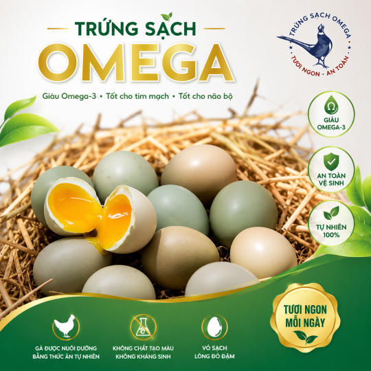 Hướng dẫn sản xuất trứng sạch OMEGA